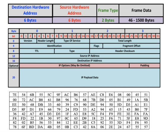 Frame Type Frame Data Destination Hardware Address 6 Bytes Source Hardware Address 6 Bytes 2 Bytes 46 - 1500 Bytes 3 Byte 0 1