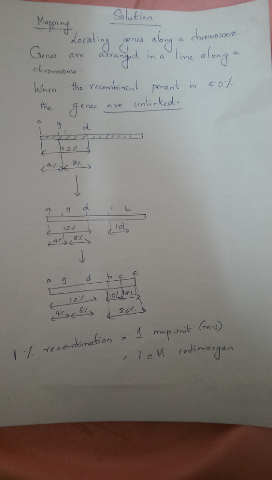 Solution Ma ocatin mes alona a chrmosovr awar d in av line along nes aye aTran when the recombinant 尸 ntva 0/. eneo are nin