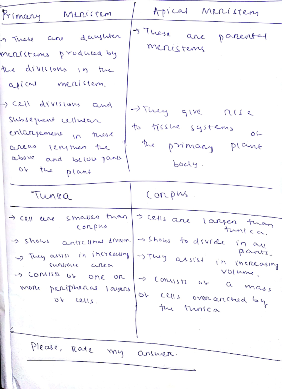 Minctem imcan ブ-These ane menis tems pimany Pn above and L lou aunt odly Tunico → cell cene sm anticti nes divlgon.I → Shows Pant n n creasin tunica ease, nae m answer