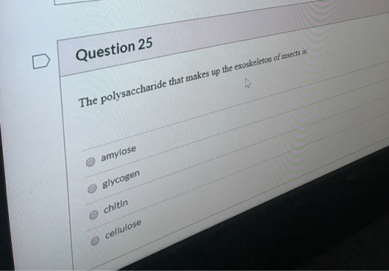 Question 25 The polysaccharide that makes up the exoskeleton of insects is: amylose glycogen chitin cellulose