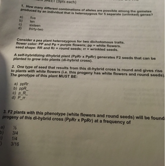 SHEE l (3pts each) 1. How many different combinations of alleles are possible among the gametes produced by an individual heterozygous for 5 separate (unlinked) genes? a) five ten c) Sixteen d) thirty-two Consider a pea plant heterozygous for two dichotomous traits. flower color: PP and Pp purple flowers; pp white flowers. seed shape: RR and Rr round seeds; rr wrinkled seeds. A self-hybridizing dihybrid plant (PpRr x PpRr) generates F2 seeds that can be planted to grow into plants (di-hybrid cross). 2. One type of seed that results from this di-hybrid cross is round and gives rise plants with flowers this progeny has white flowers and round seeds) The of this MUST BE: a) ppRr b) ppR c) p R d) P rr 3, F2 plants with this phenotype (white flowers and round seeds) will be found progeny of this di-hybrid cross (PpRr x PpRr) at a frequency of a) b) 3/4 3/16