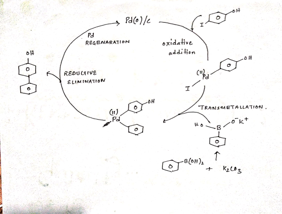 Pd(elle Pa REGENARATION oxidative addition REDUCTIVE ELIMINATION TRANSMETALLATION. o Lacakt To BlOH)2 + KalO3