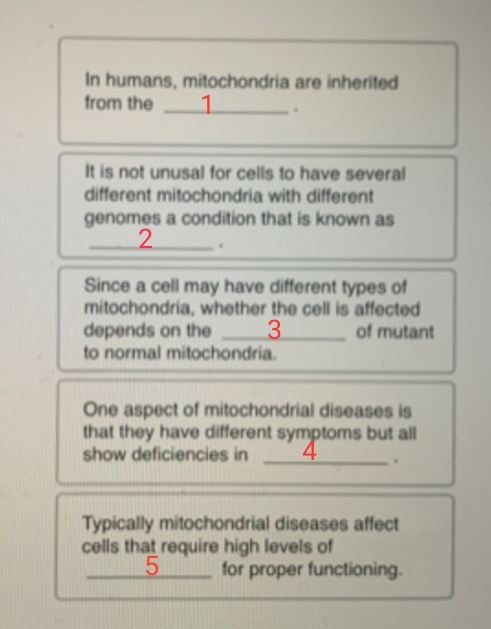 In humans, mitochondria are inherited! from the 1 It is not unusal for cells to have several different mitochondria with diff
