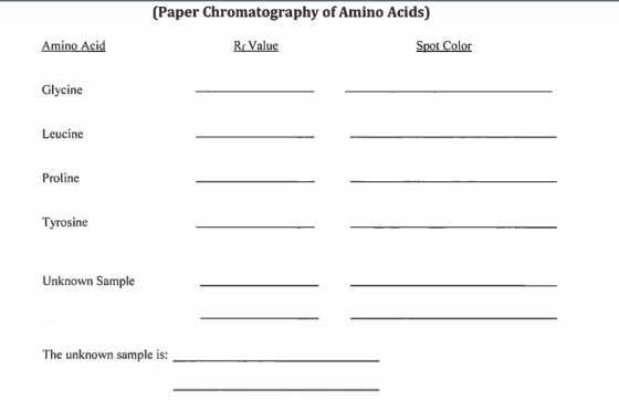 (Paper Chromatography of Amino Acids) Amino Acid Rr Value Spot Color Glycine Leucine Proline Tyrosine Unknown Sample The unkn