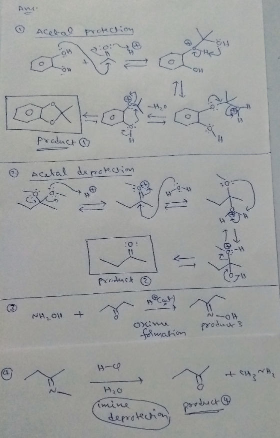 Ana: Acebal protechioy :0: HO. Product O 4. Acetal deprotection :0: Product e (3 NH20H Oxime product 3 folmation imine pooduc