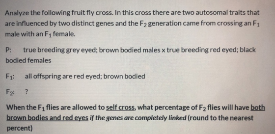 Analyze the following fruit fly cross. In this cross there are two autosomal traits that are influenced by two distinct genes