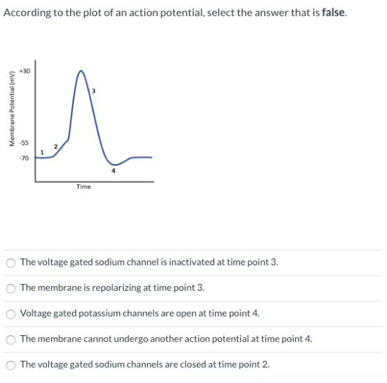 According to the plot of an action potential, select the answer that is false. Membrane Potential (mv) The voltage gated sodi
