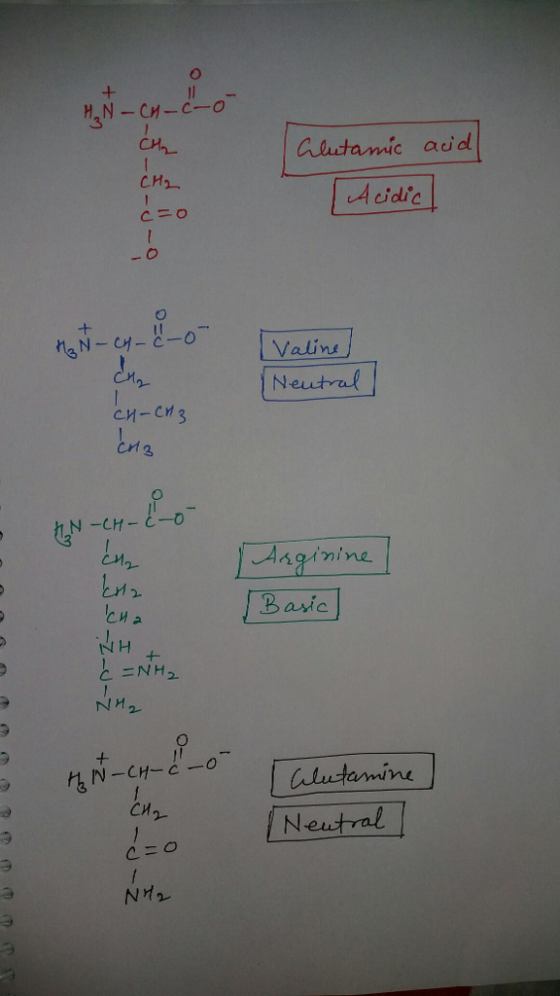 Aaitamic aud c=0 Valin Neutral CH-CH2 cn 3 LM Baic N H と2NH2 lutamine Neutral t- C丿