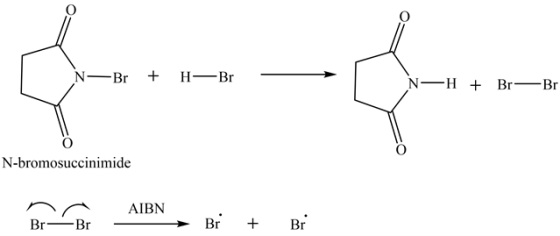 N—
Br
+
H-
Br
N-H
+ Br—Br
N-bromosuccinimide
N
AIBN
Br-Br
Br
+
Br
