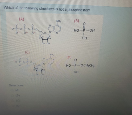 Which of the following structures is not a phosphoester? (А) NH (В) Ос CH₂ НО-Р-он о О н ни ОН ОН ОН (c) NH (D) N О о 9-ро