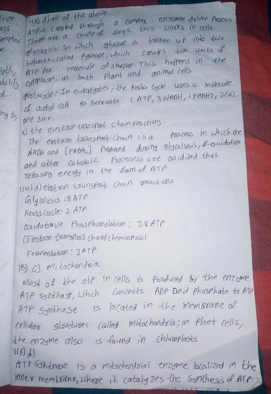 sive 1 dall of the above ons Lapis created through a complex enzyme driven proven Complex There are a couple of woys this wor