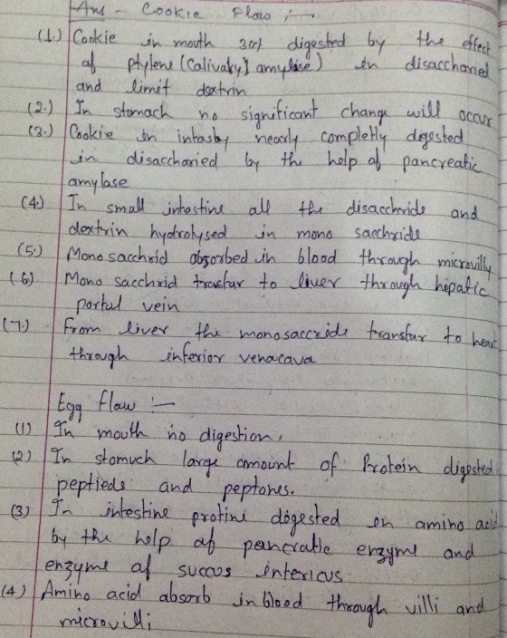 th. Cookie plato occur tec siah (2 Caoki Com amylase and mons sacchyi portal vei digeshio sUccus InhexlCUS