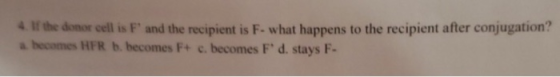 4. If the donor cell is F and the recipient is F- what happens to the recipient after conjugation? a becomes HFR b. becomes