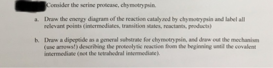 Consider the serine protease, chymotrypsin. Draw the energy diagram of the reaction catalyzed by chymotrypsin and label all relevant points (intermediates, transition states, reactants, products) a. Draw a dipeptide as a general substrate for chymotrypsin, and draw out the mechanism (use arrows!) describing the proteolytic reaction from the beginning until the covalent intermediate (not the tetrahedral intermediate). b.