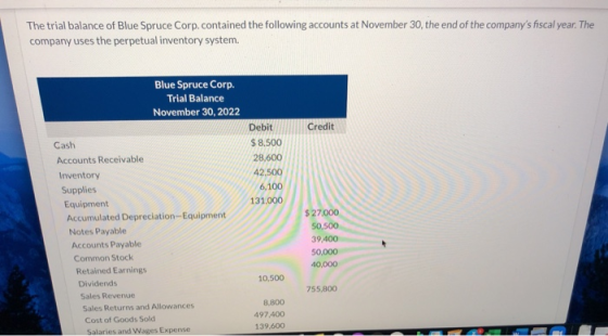 The trial balance of Blue Spruce Corp.contained the following accounts at November 30, the end of the companys fiscal year.
