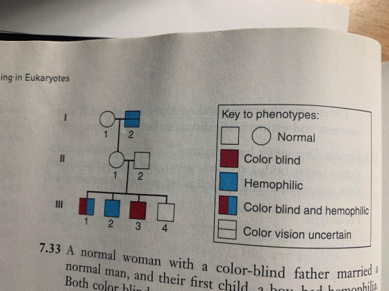 ing in Eukaryotes Key to phenotypes: O O Normal Color blind Hemophilic Color blind and hemophilic 2 2 3 Color vision uncertai