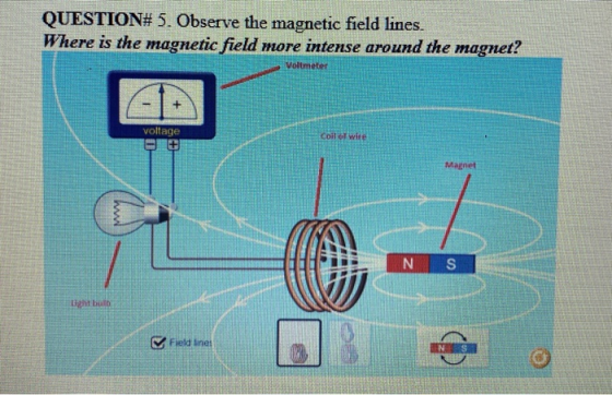 QUESTION# 5. Observe the magnetic field lines. Where is the magnetic field more intense around the magnet? Voltmeter voltage