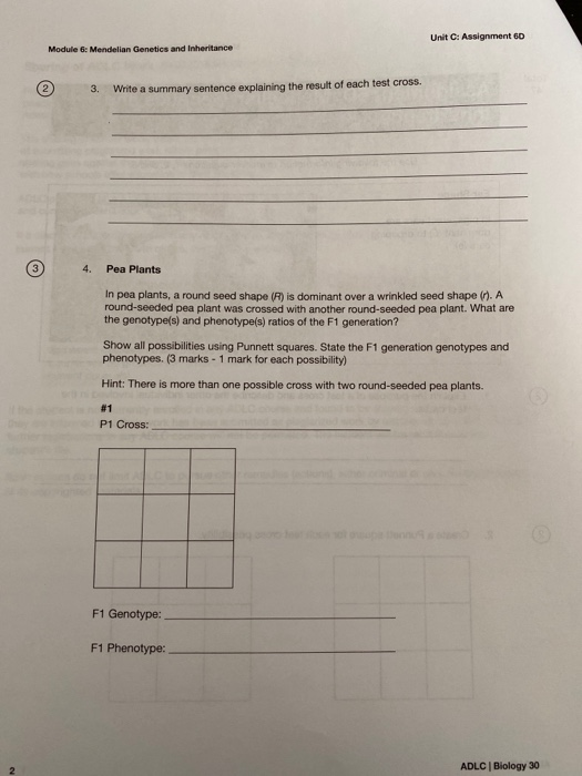Unit C: Assignment 6D Module 6: Mendelian Genetics and Inheritance 2 3. Write a summary sentence explaining the result of eac