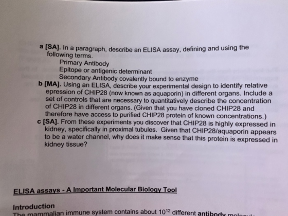 SAJ. In a paragraph, describe an ELISA assay, defining and using the following terms. Primary Antibody Epitope or antigenic