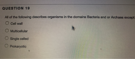 QUESTION 19 All of the following describes organisms in the domains Bacteria and or Archaea except O Cell wall O Multicellula