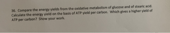 36. Compare the energy yields from the oxidative metabolism of glucose and of stearic acid. Calculate the energy yield on the