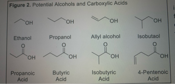 Figure 2. Potential Alcohols and Carboxylic Acids 7 ОН Мон Мон ТОН Ethanol Propanol Allyl alcohol Isobutaol о ОН ОН ОН ОН Pro