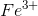 Fe^{3+}