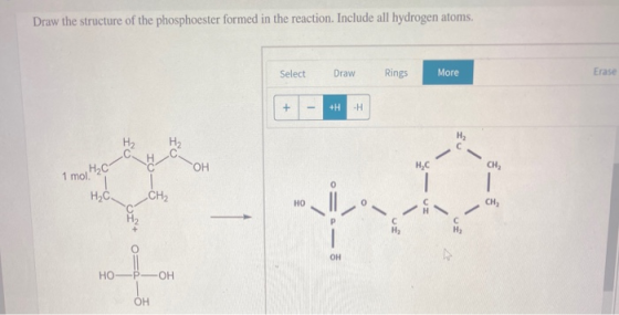 Draw the structure of the phosphoester formed in the reaction. Include all hydrogen atoms. Select Draw Rings More Erase 1 mol