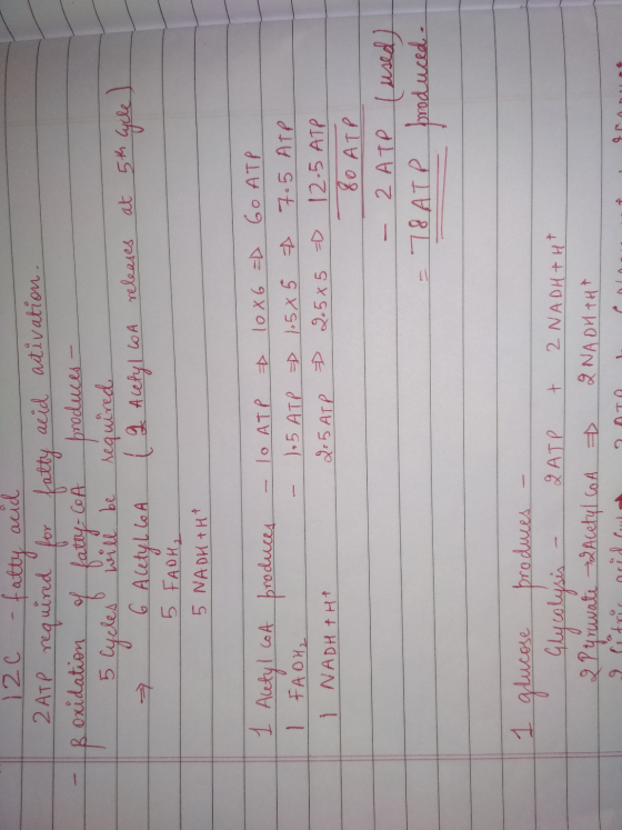 112c - fatty acid 2 ATP required for fatty acid activation. B oxidation of fatty-Cou produces - 5 Cycles will be required 3 6