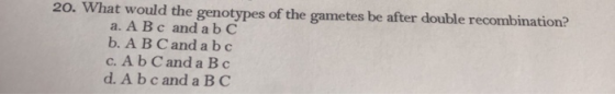 20. What would the genotypes of the gametes be after double recombination? a. A Bc and a b c b. A B C and a b c c. A b C and