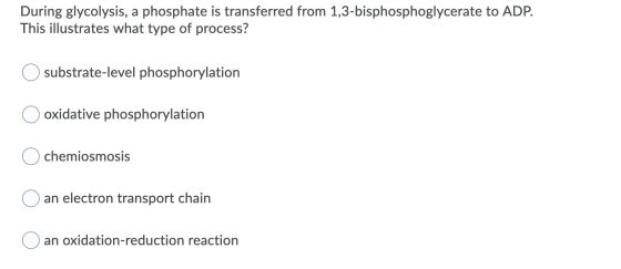 During glycolysis, a phosphate is transferred from 1,3-bisphosphoglycerate to ADP. This illustrates what type of process? sub