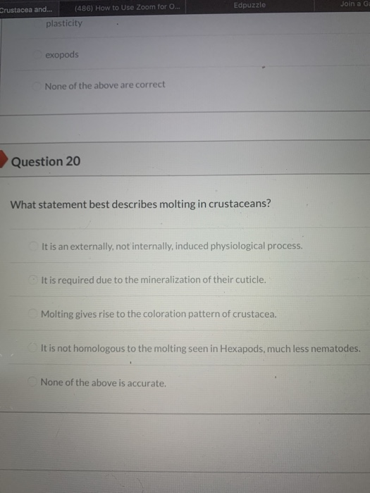 Edpuzzle Join a G Crustacea and... (486) How to Use Zoom for O... plasticity exopods None of the above are correct Question 2