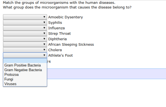 Match the groups of microorganisms with the human