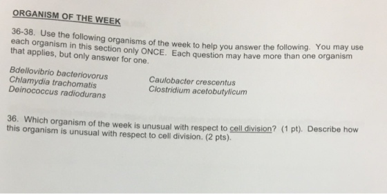 ORGANISM OF THE WEEK 36-38. Use the following organisms of the to help you the following You may use each organism in this section only week question may have more than one organism applies, but ONCE. Each only answer for one. Bdellovibrio bacteriovorus Chlamydia trachomatis Caulobacter crescentus Deinococcus radiodurans Clostridium acetobutylicum 36. Which organism of the week is unusual respect to cell division? (1 pt). Describe how this organism is with unusual with respect to cell division. (2 pts).