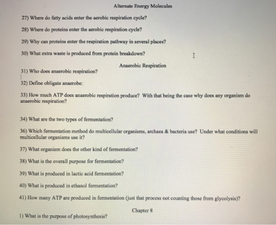 Alternate Energy Molecules 27) Where do fatty acids enter the aerobic respiration cycle? 28) Where do proteins enter the aero
