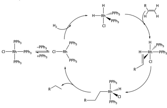 ID H- Rh.111PPh, PPha PPh3 PPh PPhz -PPh CI— —PPh: 01—Rń H-RhPPha +PPh3 PPhz PPh3 PPh3 Rh-1H pph3
