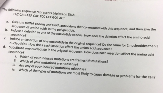 The following sequence represents triplets on DNA: TAC CAG ATA CAC TCC CCT GCG ACT a. Give the mRNA codons and tRNA anticodons th b. c. Induce an insertion of one nucleotide in the original sequence? Do the same for 2 nucleotides then 3 d. Substitute one nucleotide in the original sequence. How does each insertion affect the amino acid at correspond with this sequence, and then give the sequence of amino acids in the polypeptide. induce a deletion in one of the nucleotide codons. How does the deletion affect the amino acid sequence? nucleotides. How does each insertion affect the amino acid sequence? sequence? i. Which of your induced mutations are frameshift mutations? ii. Which of your mutations are nonsense? ii. Are any of your induced mutations missense? iv. Which of the types of mutations are most likely to cause damage or problems for the cell?