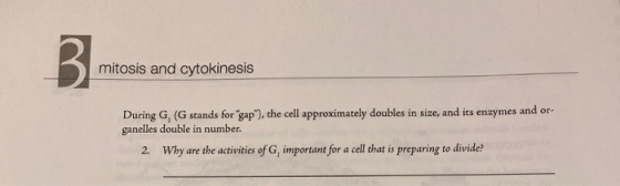 mitosis and cytokinesis During G (G stands for gap), the cell approximately doubles in size, and its enzymes and or ganelle