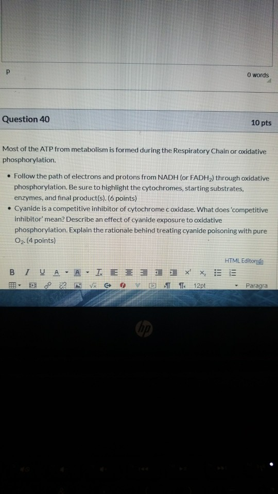 O words Question 40 10 pts Most of the ATP from metabolism is formed during the Respiratory Chain or oxidative phosphorylatio
