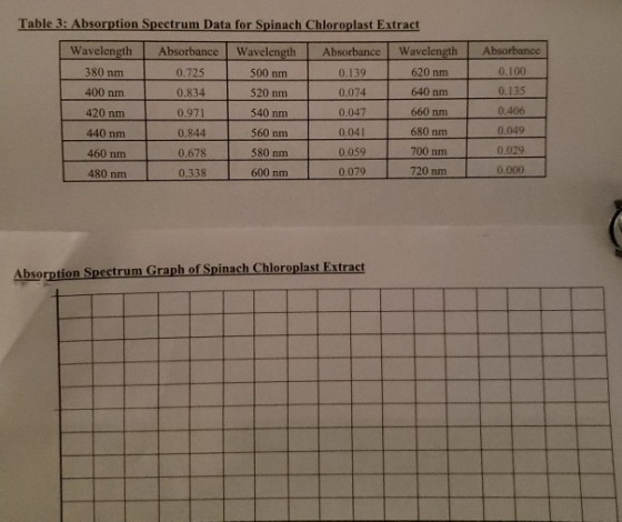 Absorbance 0.100 Table 3: Absorption Spectrum Data for Spinach Chloroplast Extract Wavelength Absorbance Wavelength Absorbanc