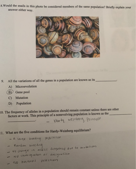 8. Would the snails in this photo be considered members of the same population? Briefly explain your answer either way. 9. Al