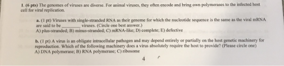 1. (6 pts) The genomes of viruses are diverse. For animal viruses, they often encode and bring own polymerases to the infecte