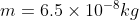 m = 6.5 \times 10^{-8} kg