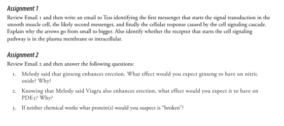 Assignment 1 Review Email 1 and then write an email to Tess identifying the first messenger that starts the signal transducti