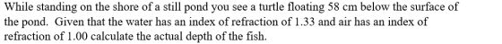While standing on the shore of a still pond you see a turtle floating 58 cm below the surface of the pond. Given that the wat