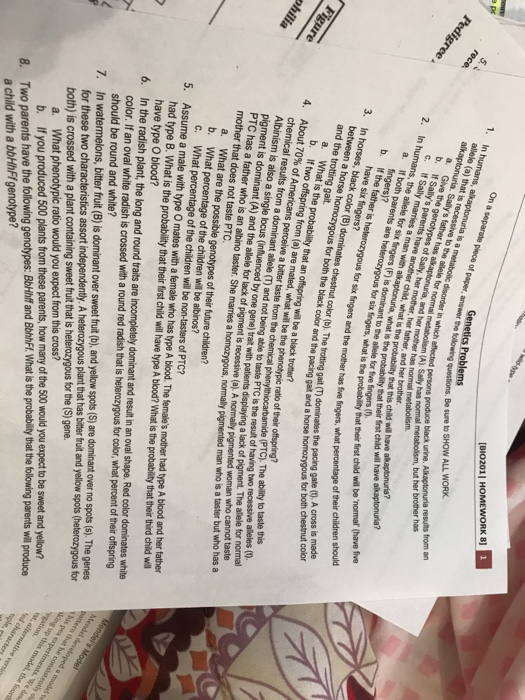 On a separate piece of paper, answer the Genetics Problems allele (a) that is recessive to the ailele for nomal metabolism o following questions. Be sure to SHOW ALL WORK c. If Sally of Sally, her mother, hor father, and her brother humans, the allele for six If both that their frst child will have alkaptonuria? ngers, what is the probabity that their first child wil be normar (have five percentage of their children should to the allele for five six fingers and the mother has Sive fingers, what black color color (b). The trotting gait (T) dominates the pacing gate (), A cross is made pacing gait and a horse homozygous for both chestnut color and the trotting gait. b. If two About 70% of Americans perceive a bitter taste from the chemical results from a dominant allele (T) Albinism is also a single locus (inf pigment is dominant (A) and the allele for lack of pigment is recessive (a). A normally pigmented woman who cannot taste Prc has a father who is an albino taster. She maries a homozygous, normally pigmented man who is a taster but 4. ratio of their offspring? (PTC). The ability to taste this alleles () and not being able to taste PTC is the result of having two one gene) trait with patients displaying a lack of pigment. The allele for normal mother that does not taste PTC. a. What are the b. What percentage of the children will be albinos? What percentage of the children will be non-tasters of PTC? a male with type O mates with a female who has type A blood. The females mother had type A blood and her father c. had type B. What is the probabiliy that their first child will ave type A blood?What is the probability that their third child will have type O blood? 5. Assume color. If an oval white radish is crossed with a round red radish that is heterozygous for color, what percent of their offspring should be round and white? 6. In the radish plant, the long and round traits are incompletely dominant and result in an oval shape. Red color dominates white for these two ch both) is crossed with a plant containing sweet fruit that is heterozygous for the (S) gene. 7. In watermelons, bitter fruit (B) is dominant over sweet fruit (b), and yelow spots(S) are dominant over no spots (s). The genes assort model, the a. What phenotypic ratio would you expect from this cross? b. If you produced 500 plants from these parents, how many of the 500 would you expect to be sweet and yellow? 8. Two parents have the following genotypes: BbHhff and Bbhhf. What is the probabity that the olowing parents will produce o a child with a bbHhFIgenotype?