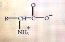 NH3