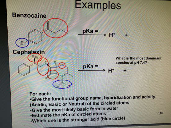 Examples Benzocaine pka = SON HEN CHER Cephalexin NH3 What is the most dominant species at pH 7.4? рка = -> H+ TV For each: •