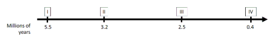 - III IV 모 Millions of years 5.5 3.2 2.5 0.4