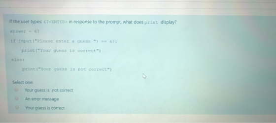 If the user types: 67<ENTER> in response to the prompt, what does print display? answer = 67 if input(Please enter a guess